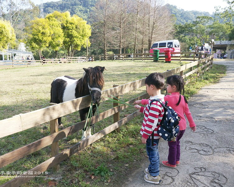 享受著異國風情般的悠閒時刻～桃園富田花園農場