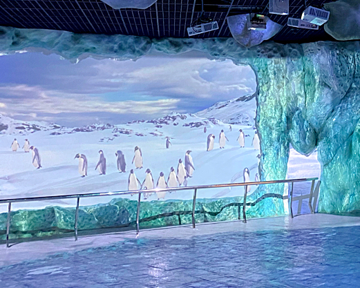 一秒到極圈，虛擬實境技術建構無水水族館～屏東國立海洋生物博物館