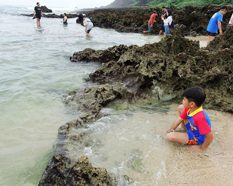 天然珊瑚礁石海灘，魚兒就在身邊游～墾丁小巴里島岩