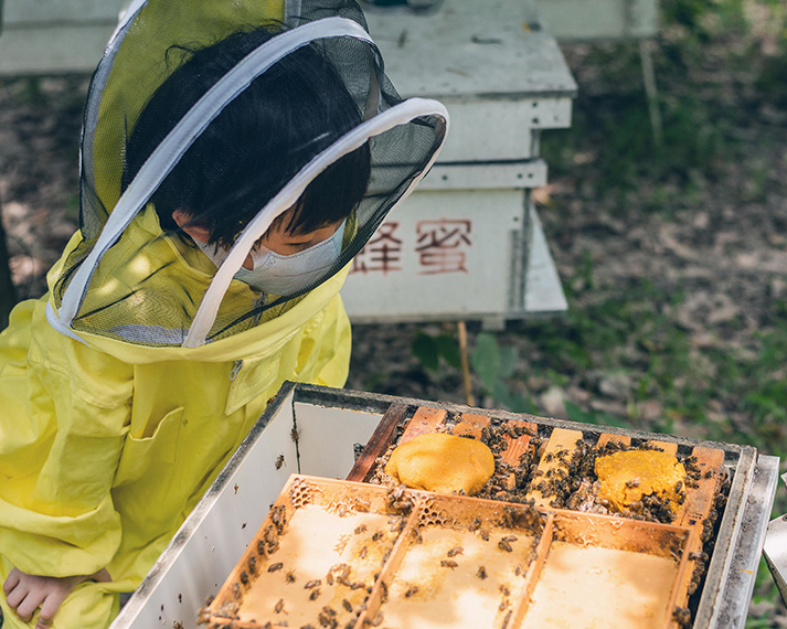 小小蜂農挑戰蜂糧DIY，原來蜜蜂一點都不可怕～桃園享樂蜂蜜