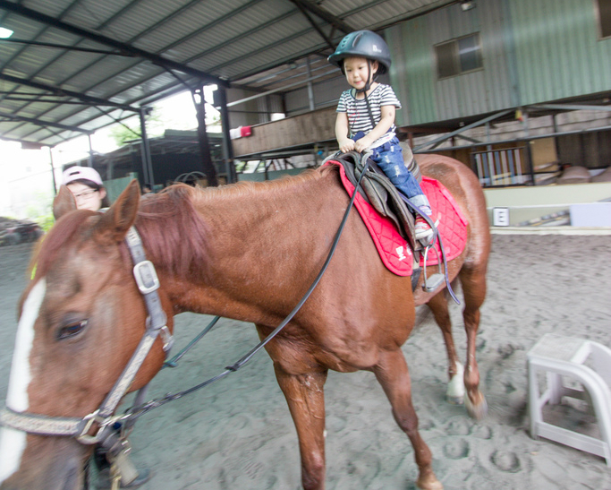 騎大馬、洗小馬，小小騎士初階馬術體驗～板橋馬德里休閒驛棧