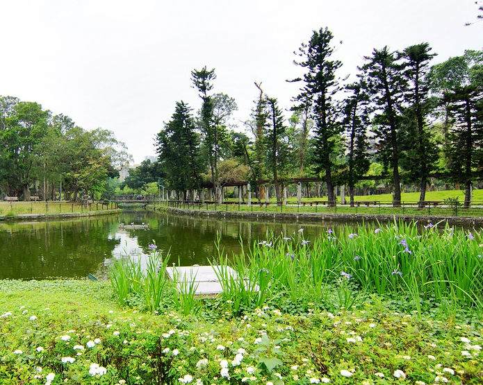 綠意盎然，設施完善，適合親子同遊好去處～台北青年公園