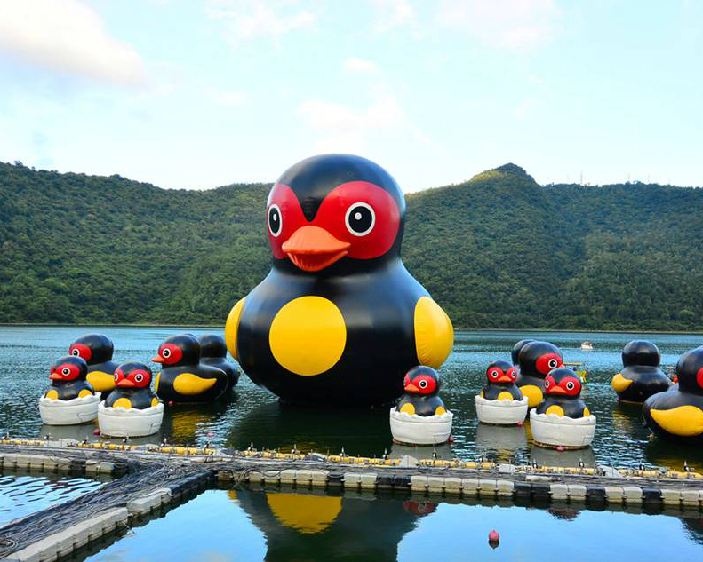 【2015花蓮紅面鴨Fun假趣】紅面鴨大軍佔領花蓮鯉魚潭！2015.07.18~2015.08.30