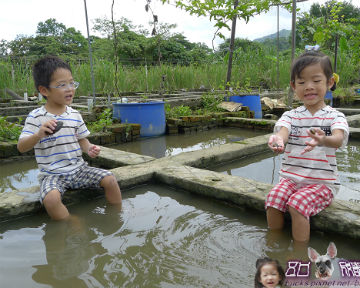 李雞場摸蜆農場