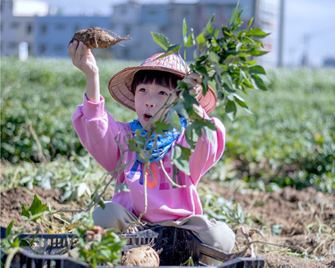 挖寶樂，POLI帶你下田農作餵羊趣～桃園林園居農場