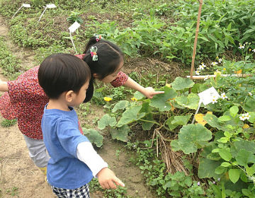 裡山塾