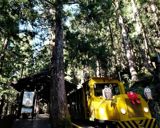 蹦蹦車回來囉！一蹦一跳享受綠色療癒力量～宜蘭太平山蹦蹦車