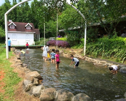 清涼的水上秋千，孩子開心地打水仗～淡水大屯花卉休閒農園