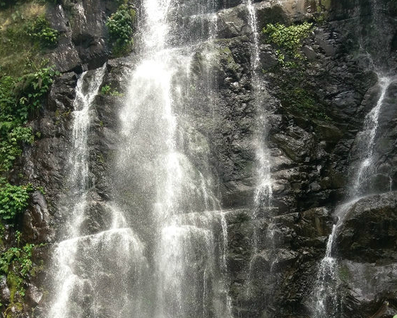 有山爬、有水看，小人開心放電趣～三峽滿月圓森林遊樂區