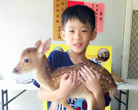 機捷可達！和小鹿玩不必上奈良、下墾丁～桃園山腳鹿場