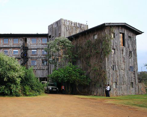 住樹屋看動物！肯亞最昂貴的樹屋飯店～肯亞樹頂飯店Treetops Lodge