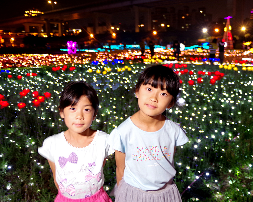 白天遊花海、晚上賞光雕，50萬顆燈泡打造光之饗宴～板橋蝴蝶公園