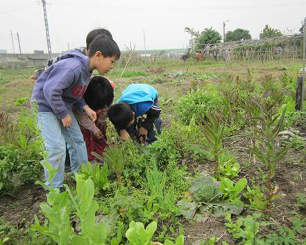 里巴哈克農場：親近田園、了解社區農業