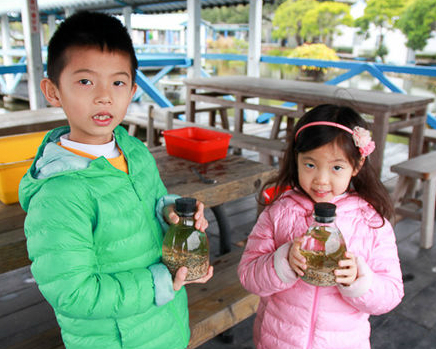 小小瓶中，創造一個自給自足生態系統～新竹善水草塘