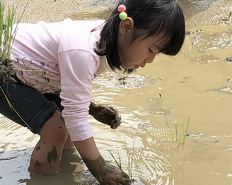 插秧接地氣，人情味滿滿超有愛的農村體驗～新北雙溪區泰平里山