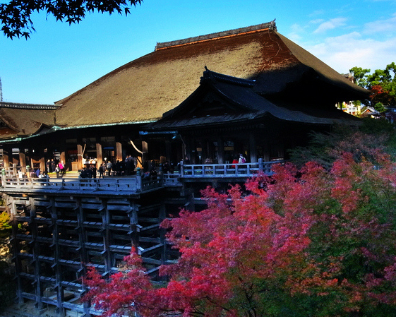 秋季限定的絕世美景，”楓＂采展露無遺～日本京都清水寺