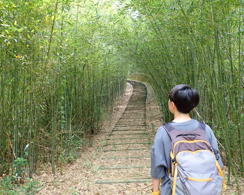 滿滿竹林包圍，敲響古道幸福鐘～苗栗鐘樓古道