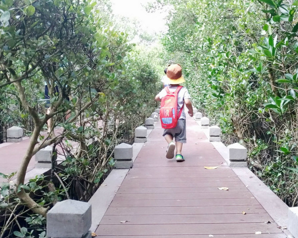 紅樹林綠色隧道探險，玩沙戲水尋找小螃蟹～台南Vanaheim愛莊園(雙春濱海遊憩區)