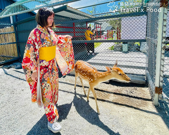 浴衣體驗×小動物餵食，走走拍拍營造日式風味～花蓮張家の樹園