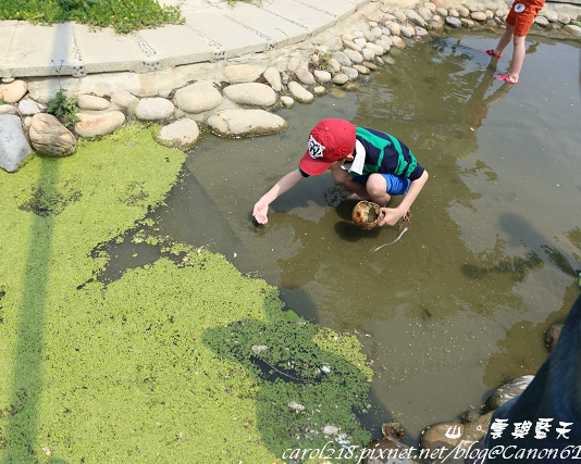 與大自然接觸的親子歡樂農場～台中赤腳ㄚ生態農莊