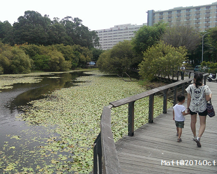 藏身於都會叢林的袖珍濕地～高雄鳥松濕地公園