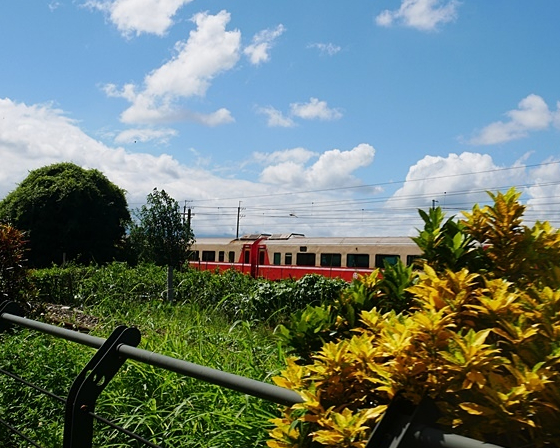 單車尬火車，三鐵跑水一覽田園風光～彰化二水自行車道