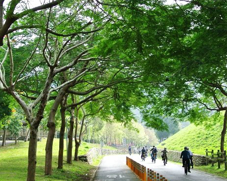 一台鐵馬征服隧道、鐵橋～台中后豐鐵馬道