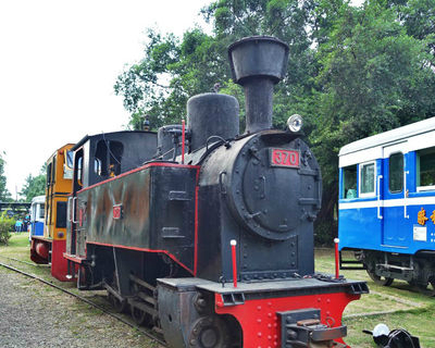 坐一次就愛上的蒸汽五分小火車！台南烏樹林休閒園區