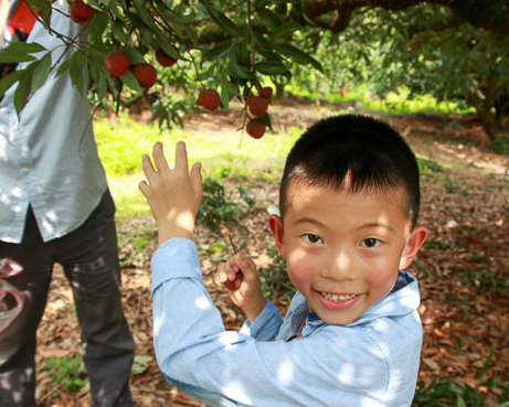 爬樹、採荔枝，帶孩子們一起來當野猴王～新竹德聲觀光果園