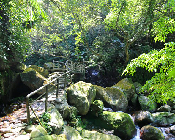 後山玩水去，享受恣意的自然氛圍～石門青山瀑布步道