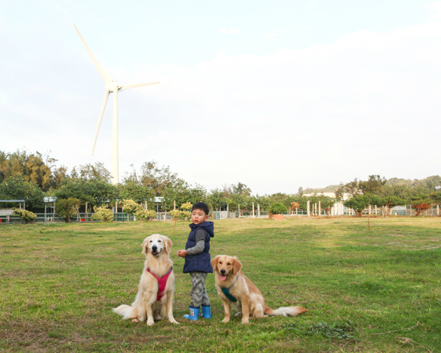 寵物友善旅館，可愛動物區、露營烤肉和世界級藝術表演～苗栗崎頂新樂園