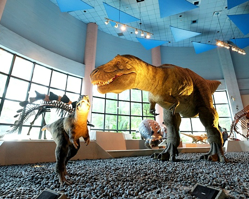 恐龍來襲！互動設施探索生命奧妙～台中國立自然科學博物館生命科學廳