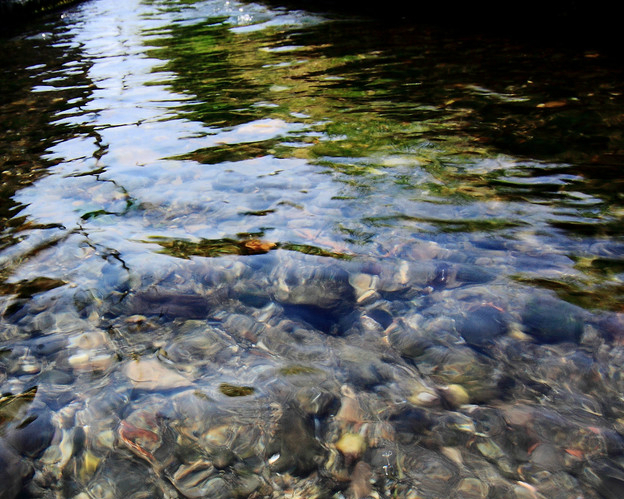 夏日最佳消暑聖地，天然的清涼湧泉～宜蘭螃蟹冒泡