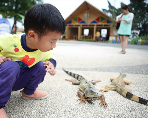 新百果山克林姆莊園：體驗餵食動物的樂趣！