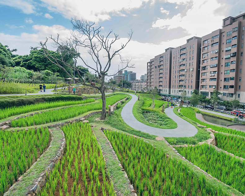 生態復育×全齡式遊戲場，挑戰極限體能王～桃園大有梯田生態公園