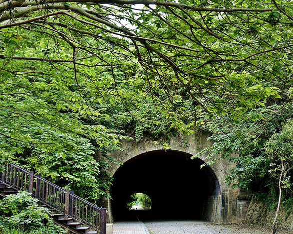 森林系子母隧道，彷彿宮崎駿龍貓場景再現～苗栗崎頂車站
