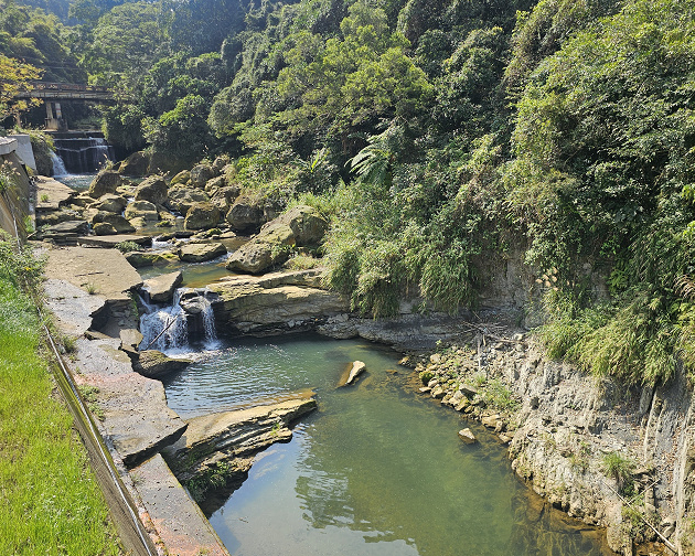 修護原生物種環境，散步休憩好所在～桃園山豬湖生態親水園區