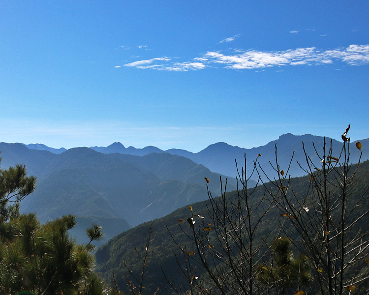 遠眺聖稜線，細數臺灣大百岳～苗栗觀霧國家森林遊樂區雲霧步道