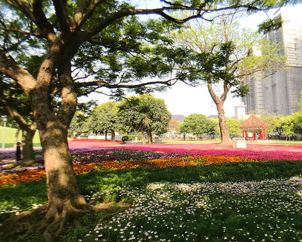 繽紛花毯、萬坪草地，廣大腹地跑到腿軟～桃園埔頂公園