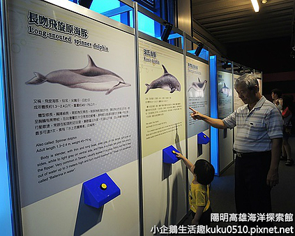 觀看高雄港及海洋風情的新景點：陽明高雄海洋探索館