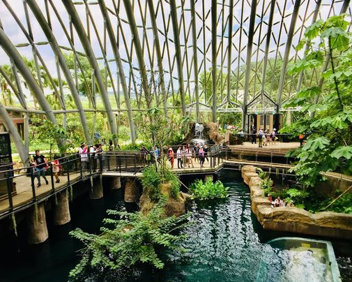 新館落成！多層次展示生物多樣性～臺北市立動物園熱帶雨林室內館(穿山甲館)