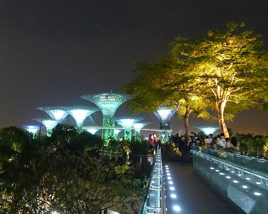 無邊際空中泳池，飛翔璀璨夜空有如巨大飛船～新加坡濱海灣金沙酒店