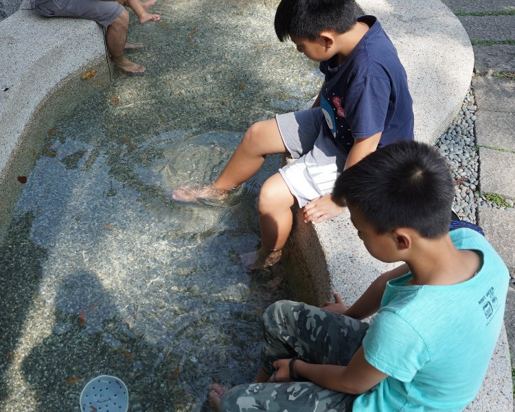 溫泉親親魚、白冷冰棒，好玩好吃無料公園～台中谷關溫泉公園