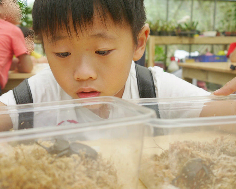 親子自然實作，豐富五感體驗好去處～台北藍鵲•星空親子農園