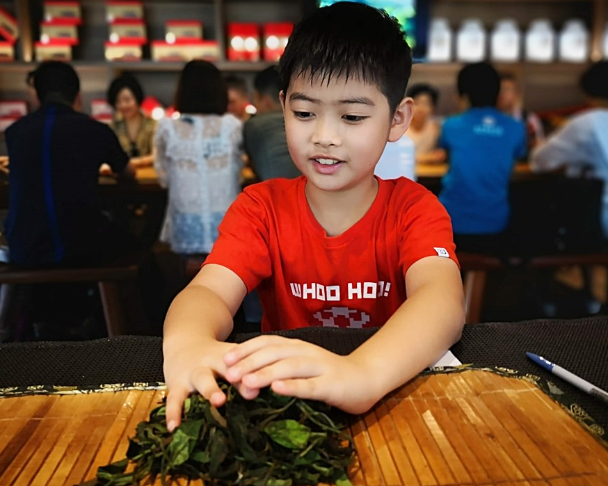 品茶、揉茶、茶葉蛋～南投Hohocha喝喝茶丨台灣香日月潭紅茶廠