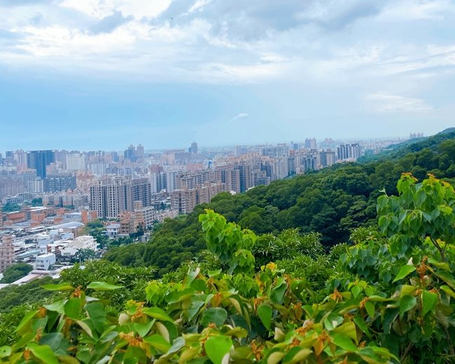 全齡友善×進階挑戰，條條步道通後花園～桃園虎頭山公園