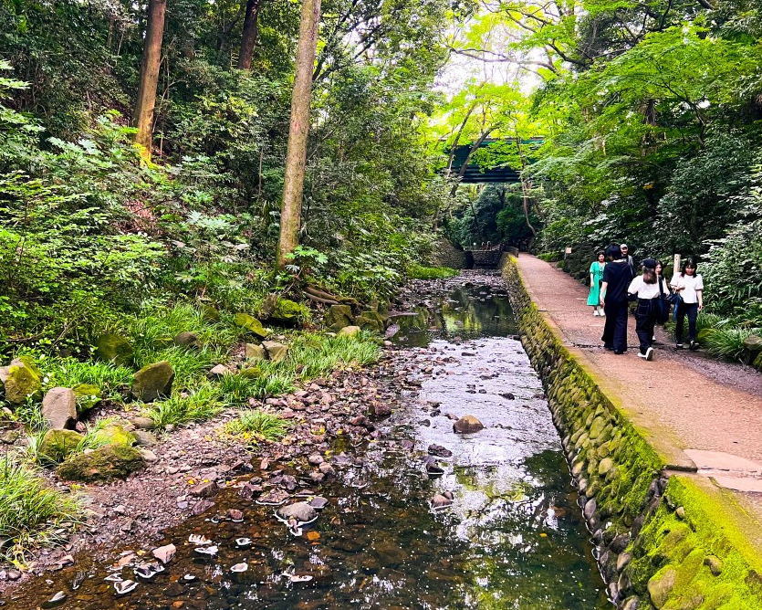 無需長途跋涉，市區夏日避暑祕境～東京等等​​力溪谷公園