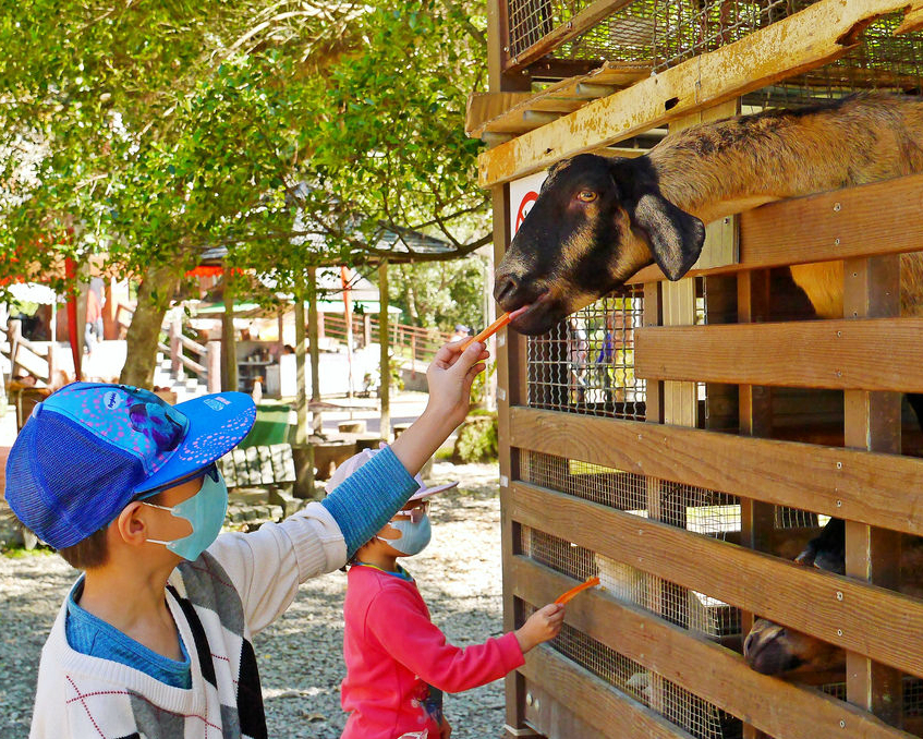 餵小動物、騎碰碰車，無料散心好去處～宜蘭長埤湖風景區