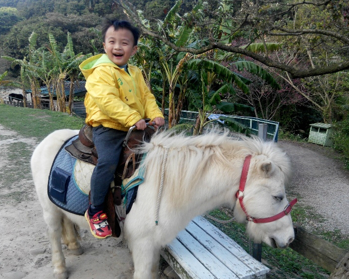 優閒下午茶時光，讓小孩騎馬射箭去～桃園春天農場