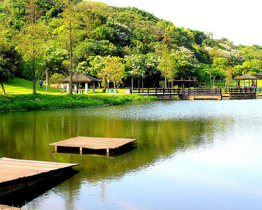 湖濱美景，綠地草坪，好想擁抱大自然～桃園大溪河濱公園